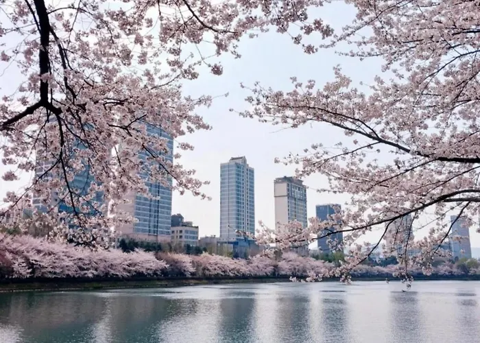 Romans828 * Seoul