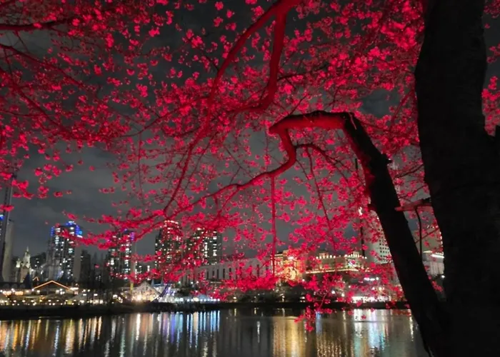 Romans828 * Seoul