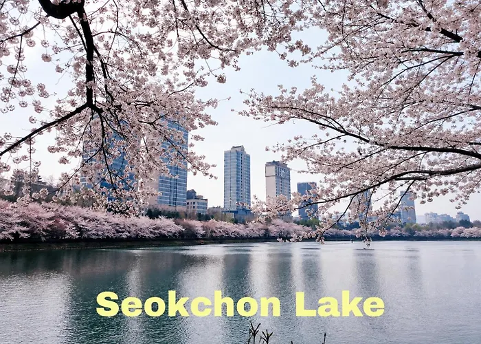 Romans828
